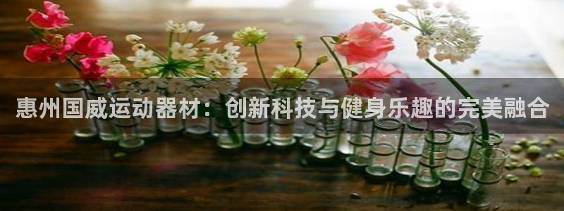 征途国际招商电话地址是多少:惠州国威运动器材:创新科技与健身