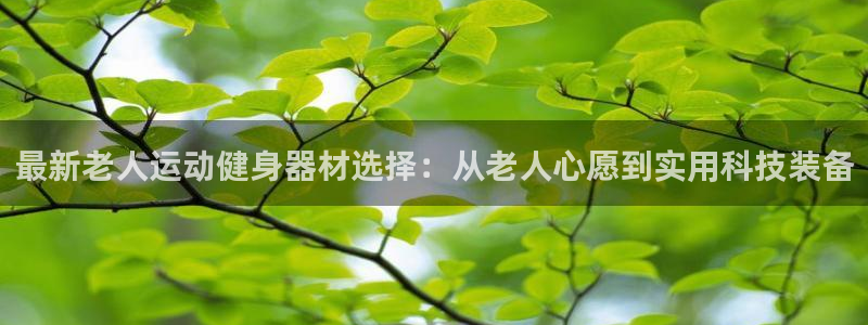 征途国际集团E.ON:最新老人运动健身器材选择:从老人心愿到