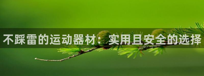 征途国际注册:不踩雷的运动器材:实用且安全的选择